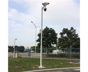 中卫道路监控杆-LB-05