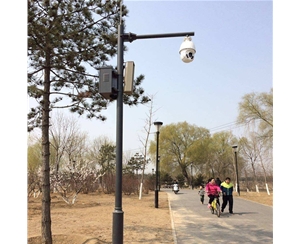 中卫路灯监控杆-LB-03